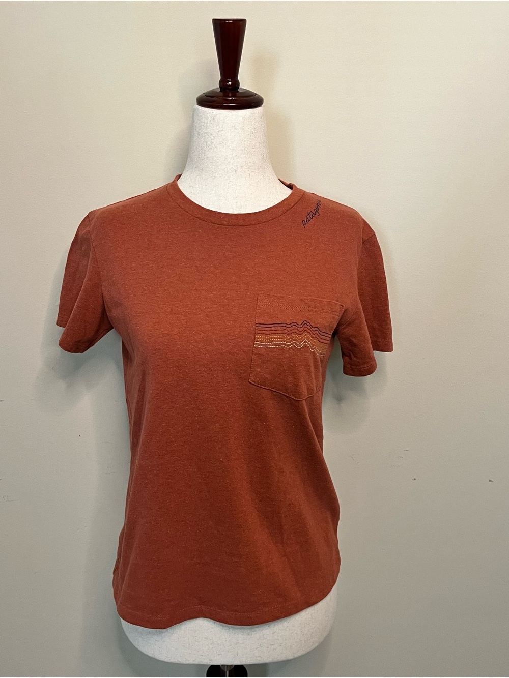 Patagonia Rust Short-Sleeve Pocket Tee with Subtle Stripe